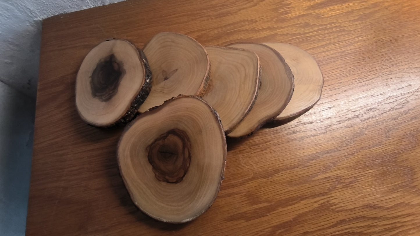Wooden coasters set of 6